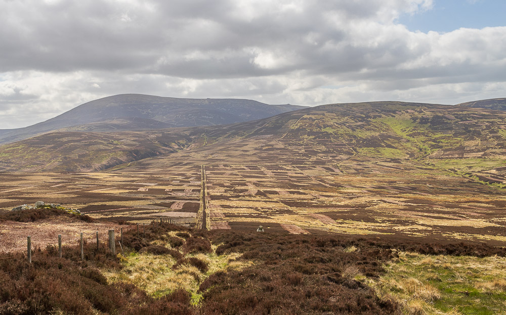 The Cheviot The Cheviot